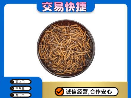 南宁礼品回收虫草.jpg