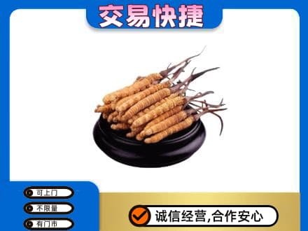 南宁礼品回收散虫草.jpg